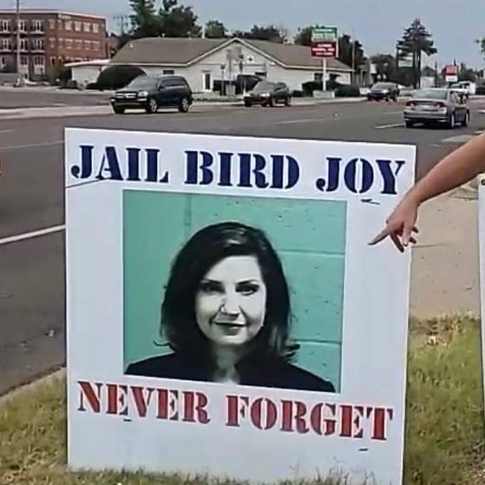 Only one candidate has gone to jail: #JailbirdJoy, Joy Hofmeister